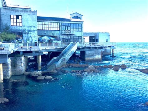 Adventures at the Monterey Bay Aquarium – Monterey Farmgirl