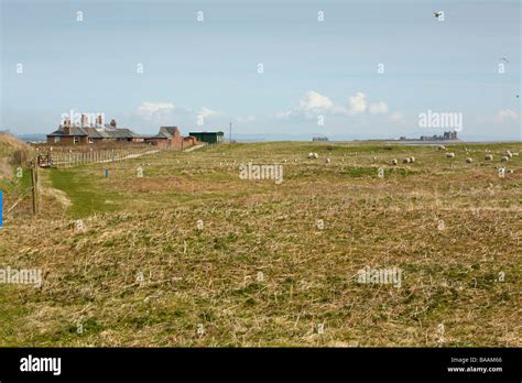 Visitor centre buildings at Walney Island Nature Reserve Barrow in ...