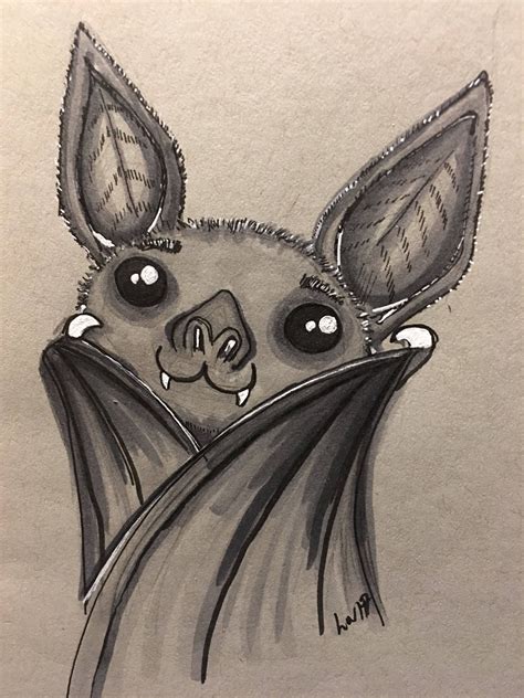 The Best Easy Vampire Bat Drawing References | PeepsBurgh.Com