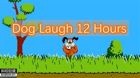 Duck Hunt Dog Laugh 12hours FC/NES GAME - YouTube