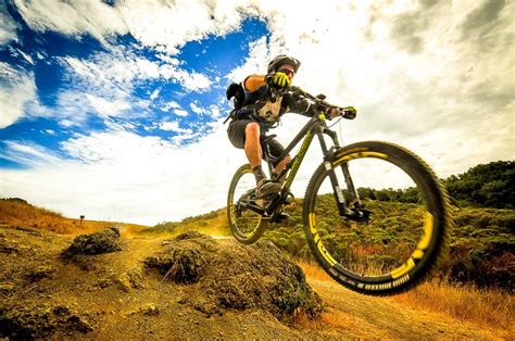 The Best Mountain Bike trails in the San Francisco Bay Area — Mountain Bike Tours, Rentals and ...