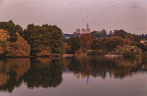 Zoo Lake | Parks, Sports & Outdoors | Johannesburg