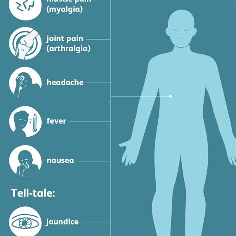 Hepatitis: Signs, Symptoms, and Complications