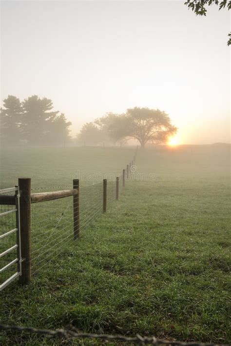 Sunrise on farm field stock photo. Image of color, yellow - 159963182