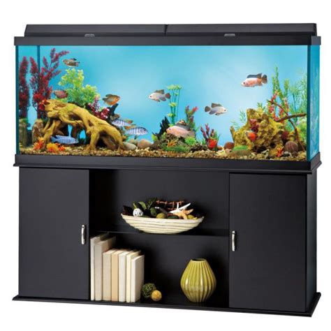 50 Gallon Fish Tank Petsmart - Ape Aquarium Fish