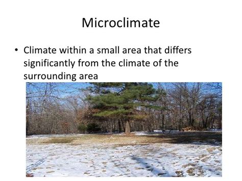 Microclimate - a local climate that differs from the main climate ...