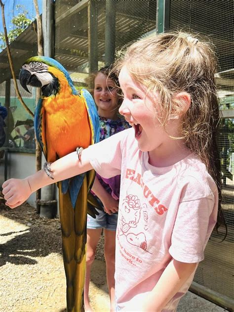 Maleny Botanic Gardens and Bird World