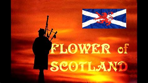 Oh Flower Of Scotland Lyrics - Flower Of Scotland R M B Williamson Free ...