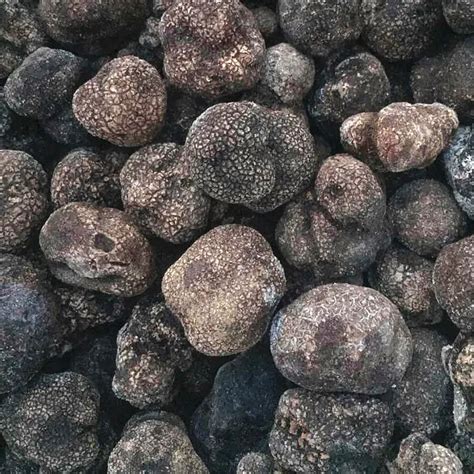 Detan Sell China Frozen Black Truffle Mushroom Fungus Price - Buy Sell ...