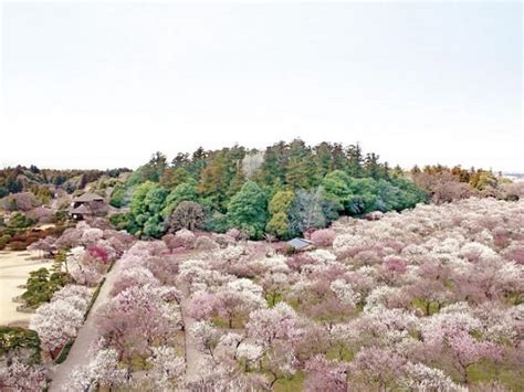 Ibaraki Prefecture, Kanto | Japan Deluxe Tours