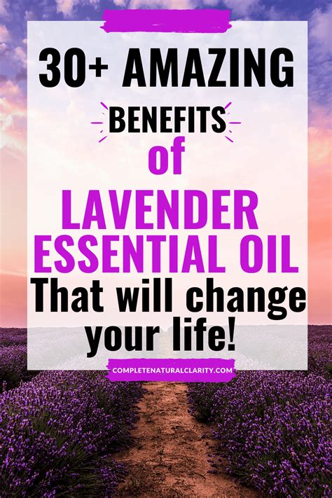 30+ Amazing Benefits of Lavender Essential Oil That Will Change Your Life! * Complete Natural ...