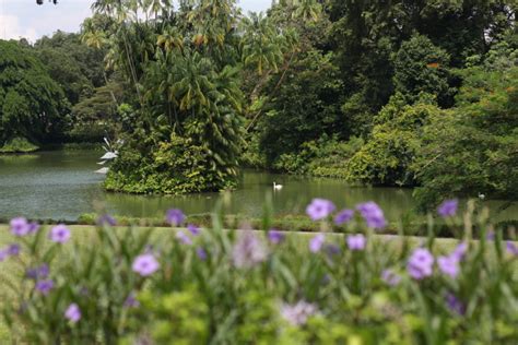 5 Exciting Activities to Look Forward to at the Singapore Botanic ...