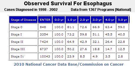 Esophagus Cancer, Stage and Survival