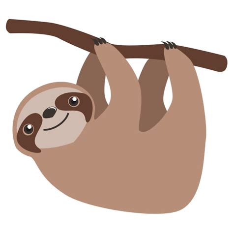 Sloth Clip art Cuteness Cartoon Illustration - sloth png download - 550 ...