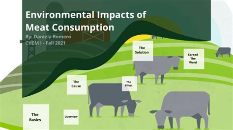 Sustainable Meat Consumption and its Impact on the Environment by ...