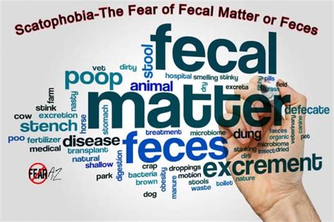 Scatophobia-The Fear of Fecal Matter or Feces