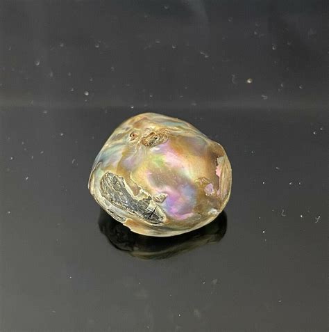 Abalone Pearl 20x19.3x12.4mm | Etsy