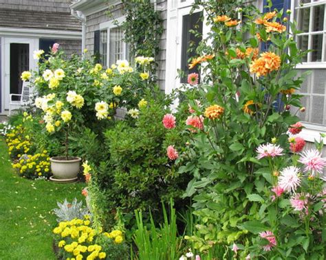 Dahlia Garden Ideas, Pictures, Remodel and Decor