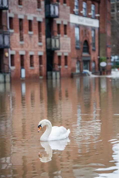 Worcester floods as River Severn levels continue to rise ...