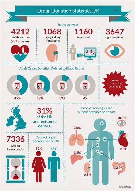 Anna_Knight: Organ Donation | Organ donation, Organ donation awareness, Organ donation poster