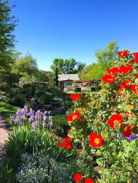 Idaho Botanical Gardens, Boise | Botanical gardens, Plants, Botanical