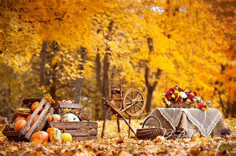 Fundal foto Autumn Picnic