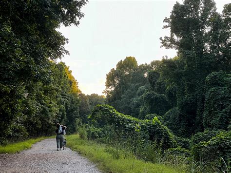 Fall Activities to Enjoy in Lafayette County - HottyToddy.com