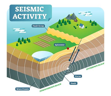 Diagram Of An Earthquake With Labelling