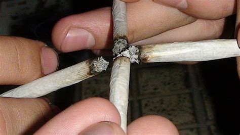 Cannabis (drug) detailed information - wikidoc