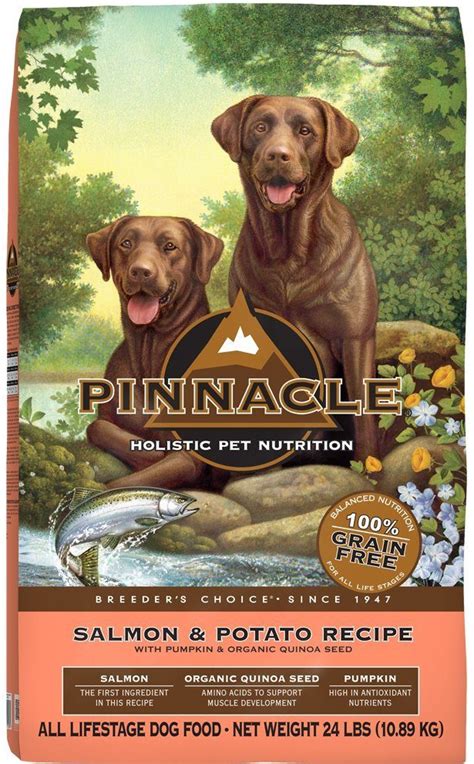 Healthy Dog Food Brands: Our Top 10 Picks in 2019 | Therapy Pet