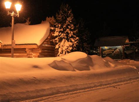 Hibernation Station | Yellowstone National Park