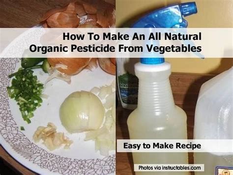 How To Make An All Natural Organic Pesticide From Vegetables