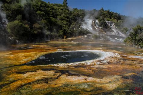 Best geothermal parks in Rotorua (New Zealand) - Full guide + Photos