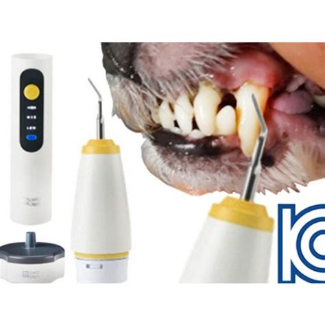 Petden Plus Ultrasonic Pet Tooth Care Scaler Tartar Remover Portable Dental Care – Korea E Market