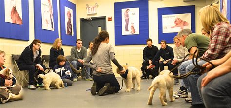 Puppy Class Part One | Andrea Arden Dog Training