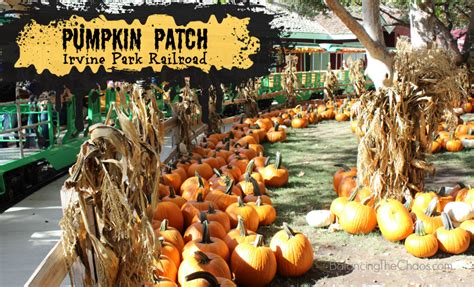 Irvine Park Railroad Pumpkin Patch Opens September 15th - Balancing The Chaos