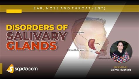 Disorders of Salivary Glands - Introduction