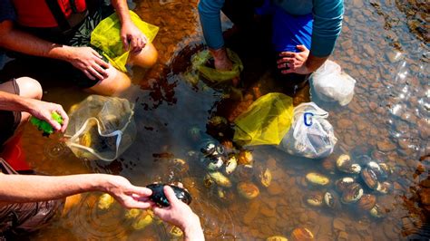 Restoring the Cuyahoga River - Cuyahoga Valley National Park (U.S ...