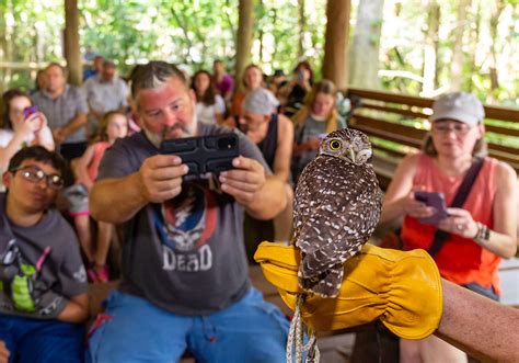 Busch Wildlife Sanctuary to Unveil “Forever Home” in Jupiter Farms | Macaroni KID Palm Beach ...