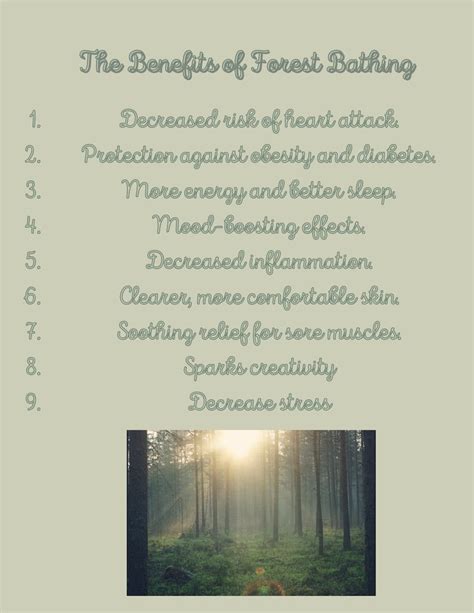 Forest Bathing Benefits WORKSHEETS - Etsy