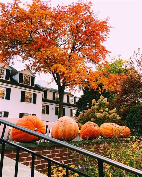 Autumn Weekend in Vermont. - Simply Lauren Gray