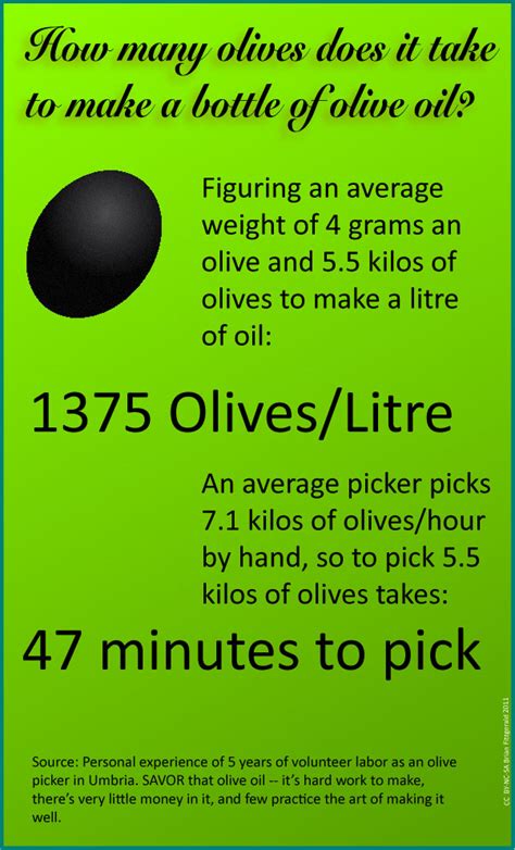 How many olives to make a bottle of oil? - No Passengers