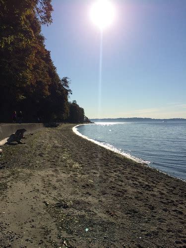 Lincoln Park Beach | Randy Sears | Flickr