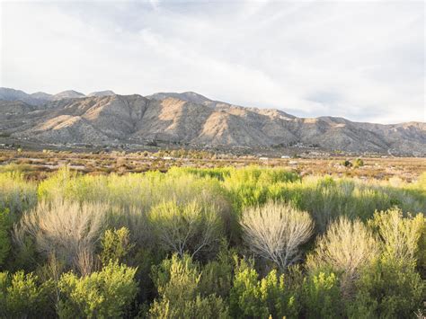 Photos: Obama Declares 3 New National Monuments In California Desert