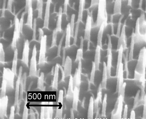 Top view of a silicon substrate after black silicon formation. The ...