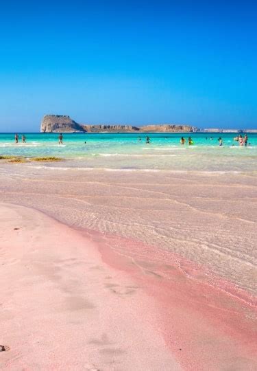 10 Gorgeous Pink Sand Beaches Around the World | Celebrity Cruises