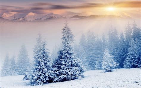 Winter Wonderland 4K Wallpapers - Top Free Winter Wonderland 4K Backgrounds - WallpaperAccess