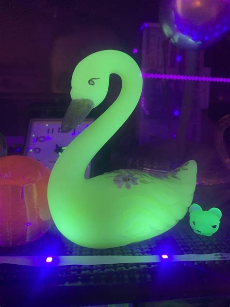 Just got a Fenton swan for $5 at goodwill!!! This is the best day of my life : r/uraniumglass