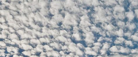 Cirrocumulus clouds: overview and weather prediction