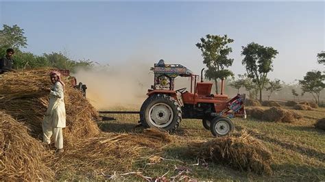 Village Life Of Punjab 2020|Wheat Threshing In Rural Punjab|How Punjabi Farmer Threshes Their ...